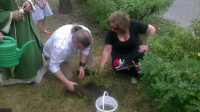 WP_20160612_12_41_10_Pro.jpg