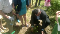 WP_20160612_12_34_49_Pro.jpg