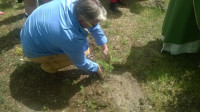 WP_20160612_12_29_02_Pro.jpg