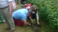 WP_20160612_12_39_53_Pro.jpg