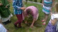 WP_20160612_12_45_24_Pro.jpg