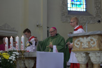 IMG_5667.jpg