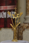 IMG_5881.JPG