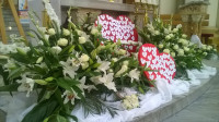 WP_20160509_12_09_04_Pro.jpg