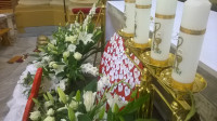 WP_20160509_12_11_21_Pro.jpg