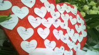 WP_20160509_12_08_14_Pro.jpg