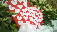 WP_20160509_12_08_06_Pro.jpg