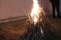 IMG_2269.JPG