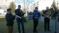WP_20160327_11_02_47_Pro.jpg