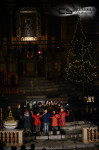 DSC_7215.JPG