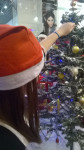 WP_20151212_15_32_17_Pro.jpg