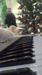 WP_20151212_15_41_49_Pro.jpg