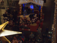 PC120117.jpg