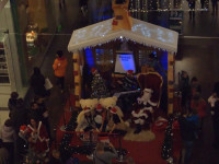 PC120119.jpg