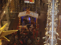 PC120113.jpg