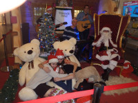 PC120127.jpg