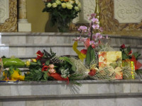 IMG_5087.jpg