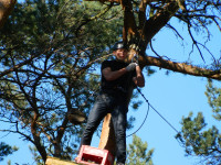 DSCN8833.jpg