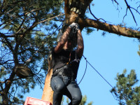 DSCN8834.jpg