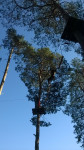 WP_20151010_14_37_38_Pro.jpg