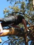 DSCN8832.jpg