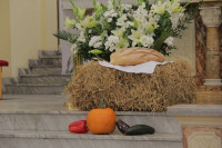 IMG_8835.jpg