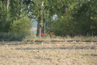 IMG_8440.jpg