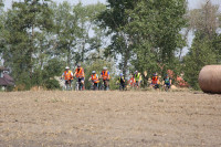IMG_8462.jpg