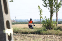 IMG_8443.jpg