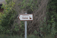 IMG_8529.jpg