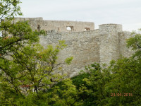 Obraz 289.jpg
