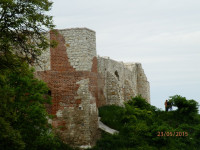 Obraz 290.jpg