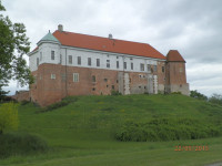 Obraz 175.jpg
