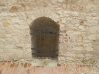 Obraz 305.jpg