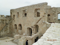 Obraz 313.jpg
