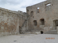 Obraz 303.jpg