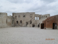 Obraz 295.jpg