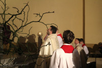 IMG_9728.jpg