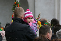 IMG_0124.jpg