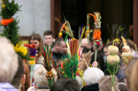 IMG_0091.jpg