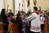 IMG_0162.jpg