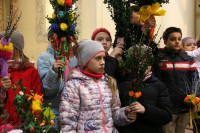 IMG_0240.jpg
