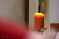 IMG_9449.jpg