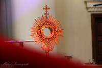 IMG_9451.jpg