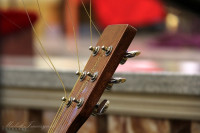 IMG_9437.jpg