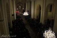 IMG_8233.jpg