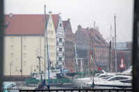 IMG_0020.jpg