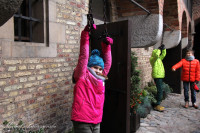 IMG_0079.jpg