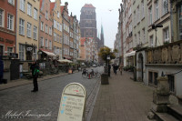 IMG_0051.jpg