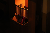 IMG_7938.jpg